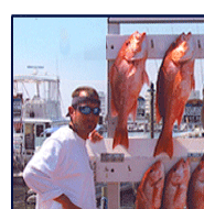 a destin fishing team