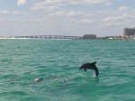 destin dolphin cruise