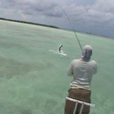 destin fishing