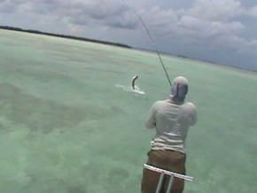 destin fishing