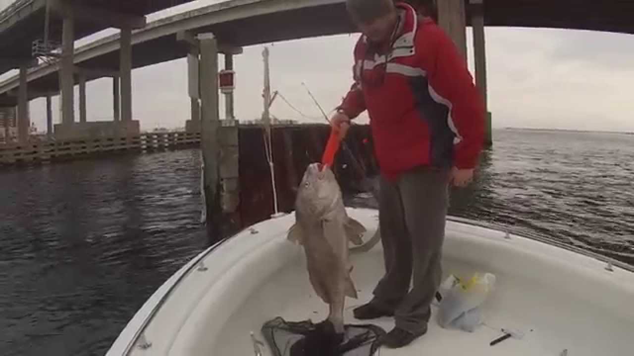 Catch Big Fish by the Bridges in Destin Destin Florida FishingDestin